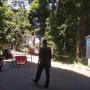 Diterpa Angin Kencang, Wisata Kebun Raya Bogor Ditutup Sementara