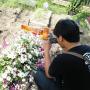 Nisan Salib Albertus Dipotong, Pihak Gereja:Picu Trauma ke Keluarga