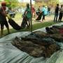14 Tahun Terpendam, 45 Korban Tsunami Aceh Ditemukan saat Gali Septic Tank