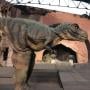 Berkat Google, Lihat Dinosaurus 3D Kini Bisa di HP Saja