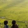 Pesona Sawah Lingko di Tengah Udara Sejuk Desa Cancar di NTT