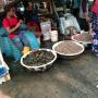 Daftar Harga Ikan di Muara Angle untuk Dipanggang di Malam Tahun Baru 2019