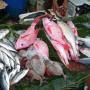 Pasar Ikan Muara Angke Mulai Dipadati Pembeli Jelang Malam Tahun Baru