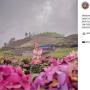 Pesona Arboretum Sumber Brantas di Jawa Timur, Instagramable Banget!