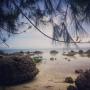 Batu Raksasa Berbentuk Otak Manusia Mempercantik Pantai Ini