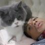 Usai Kemoterapi, Sutopo BNPB Unggah Video dengan Kucing Kesayangan