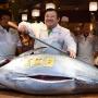 Wow, Pemilik Restoran Sushi Ini Beli Tuna Raksasa Seharga Rp 44,9 Miliar