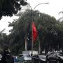 Bendera Banteng Dipasang di Tiang Lampu Jalan, PDIP Klaim Kantongi Izin