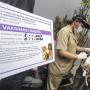 825 Orang Digigit Anjing, NTB Siaga KLB Rabies