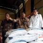 Presiden Jokowi Dapat Laporan dari Buwas Harga Beras Mulai Turun