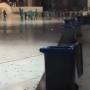 Fenomena Aneh, Masjidil Haram Diserbu Jutaan Belalang Hitam