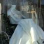 Butik Busana Pengantin Ini Pasang Manekin Berkursi Roda