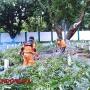 Sejumlah Makam Pejuang di TMP Rusak Akibat Terjangan Puting Beliung