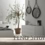 5 Tanaman Keberuntungan versi Feng Shui, Bisa Enteng Rezeki dan Harmonis
