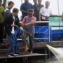 Aksi Jokowi Saat Ikut Panen Udang di Muara Gembong