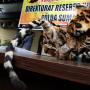 Lima Pemburu Harimau Sumatera Ditangkap di Riau