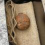 Dikirim Bersama Kentang Impor, Granat Perang Dunia I Ditemukan di Hong Kong