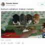 Menggemaskan, Aksi Kucing Ini Saat Mendengar Ceramah sebelum Makan