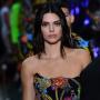 Baru Putus Cinta, Gaya Berjemur Kendall Jenner Tanpa Sehelai Busana jadi Sorotan