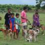 Kendalikan Rabies di NTB, Kementerian Pertanian Gandeng FAO