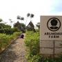 Serunya Cicipi Burger Tempeh Sambil Berkebun di Arumdalu Farm