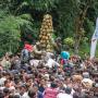Ratusan Warga Berebut Durian