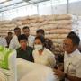Menteri BUMN Pastikan Stok Pupuk Bersubsidi Aman 3 Bulan ke Depan