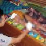Dituding Punya Santet, Kakek Suadin Dibantai hingga Isi Kepala Keluar