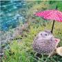 Begini Gaya Lucu Azuki, Landak Fotogenik yang Hobinya Traveling