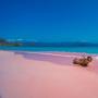 Memburu Fenomena Pink Beach di Lombok Timur di Musim Ini