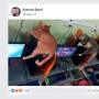 Temukan Tempat Nyaman di Warnet, Aksi Dua Kucing Ini Bikin Gemas