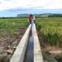 Kementan Merehabilitasi Jaringan Irigasi Sesuai Kebutuhan Petani