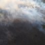 Musim Kemarau, Pemprov Riau Diminta Waspada Kebakaran Hutan