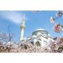Indahnya Masjid Tokyo Camii, Lokasi Pernikahan Syahrini dan Reino Barack