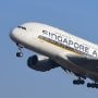 Danantara Buka Kartu, Calon Direktur Keuangan Garuda dari Singapore Airlines?