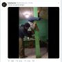 Deretan Cosplay Kocak di Warung, dari Kipas Angin sampai Pengering Tangan