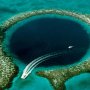 Temukan Jalur Misterius di Great Blue Hole, Ilmuwan Dibuat Bingung