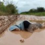 Lagi, Jalan Jelek Dijadikan Objek Fotografi Untuk Sindir Pemerintah