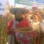 Kementan Pastikan Kestabilan Harga dan Pasokan Jagung Pakan Ternak
