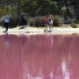 Danau di Australia Berubah Warna Menjadi Pink