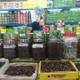 Panduan Praktis Berburu Kurma di Pasar Tanah Abang