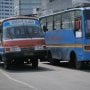 Viral Aksi Cegat Busway, Kadishub DKI Siap Tindak Metromini Ugal-ugalan