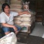 Bisnis Beras Anjlok karena Banjir, Keuntungan Berkurang Rp 5 Juta Sehari