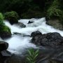 4 Sungai Terindah di Indonesia, Ada yang Terpendek di Dunia