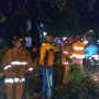 Pohon Tumbang Akibat Hujan Deras di Depok, Timpa Mobil dan Warung