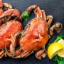 Makan Seafood yang Dihangatkan, Pria Ini Nyaris Meninggal karena Keracunan