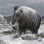 Punah Ribuan Tahun Silam, Sel-sel Mamut Dibangkitkan dari Kematian