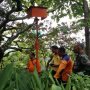 Selama Februari, Wonogiri dilanda 23 Bencana Alam