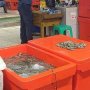 Ada Wabah Infeksi Bakteri di Pasar Basah Hong Kong, Masyarakat Ketakutan