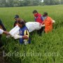 Tak Pulang Seminggu, Sariyun Ditemukan Meninggal di Sawah